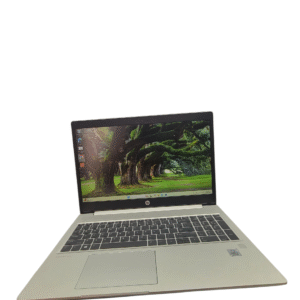 LAPTOP HP PROBOOK 450 G7 i7 10ma GEN 16GB RAM 240GB SSD